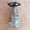 API602 a forgé la valve de porte NPT d&#39;extrémité de fil d&#39;acier inoxydable F316L